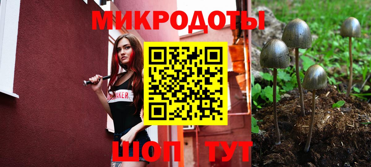 Галлюциногенные грибы мицелий Ступино
