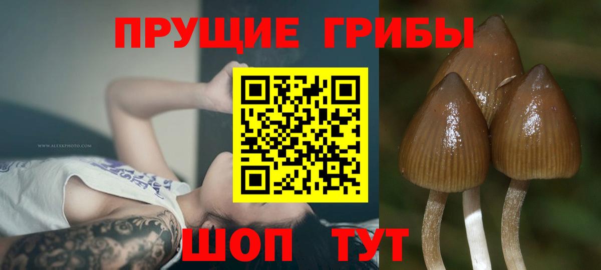 Псилоцибиновые грибы ЛСД  Вход с VPN  Галлюциногенные грибы Psilocybe  Ступино 